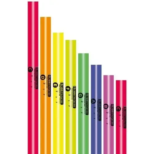 Детская перкуссия Boomwhackers BW-DG (набор, диатонический)