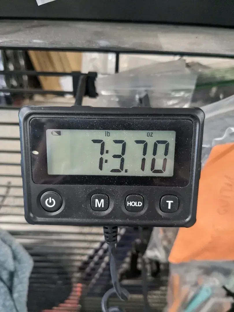 Изображение №8