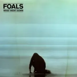 Виниловая пластинка FOALS – What Went Down