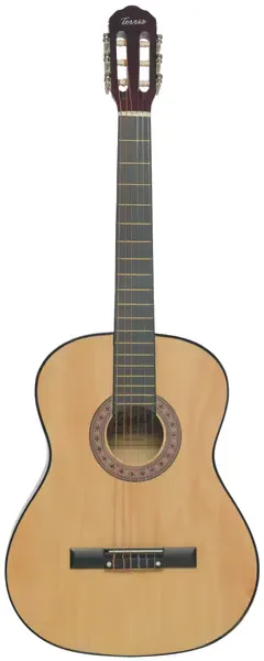 Классическая гитара Terris TC-3901A NA 4/4