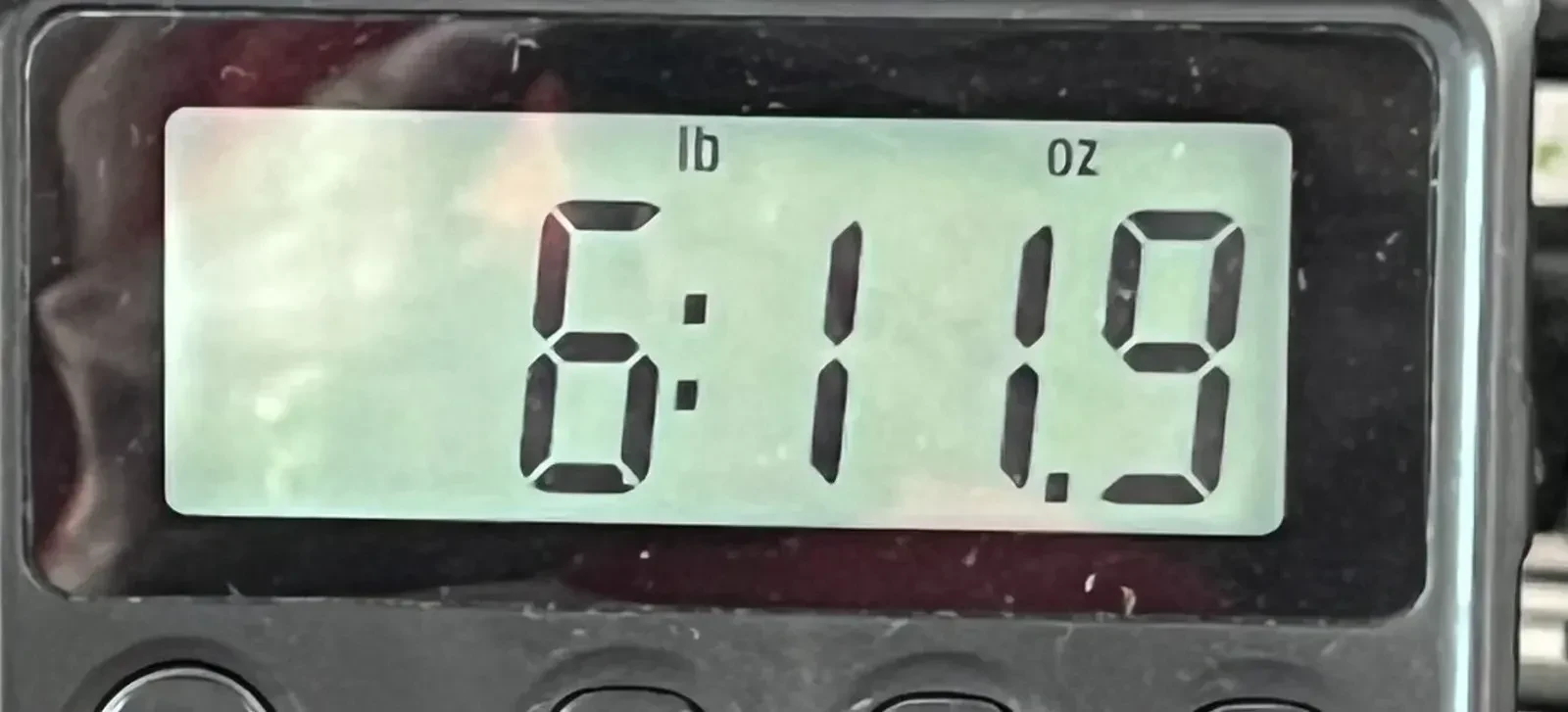 Изображение №9