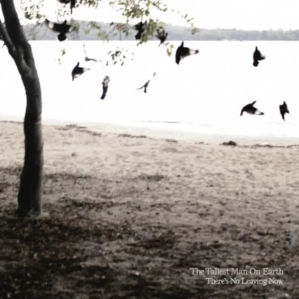 Виниловая пластинка The Tallest Man On Earth – There's No Leaving Now Sealed