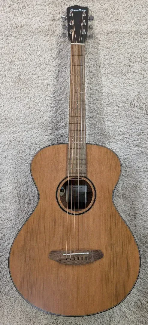 Акустическая гитара Breedlove ECO Discovery S Concertina Natural