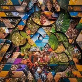 Виниловая пластинка Miguel Atwood-Fergus - Les Jardins Mystiques 1 [New Vinyl LP] Gatefold LP Jacke
