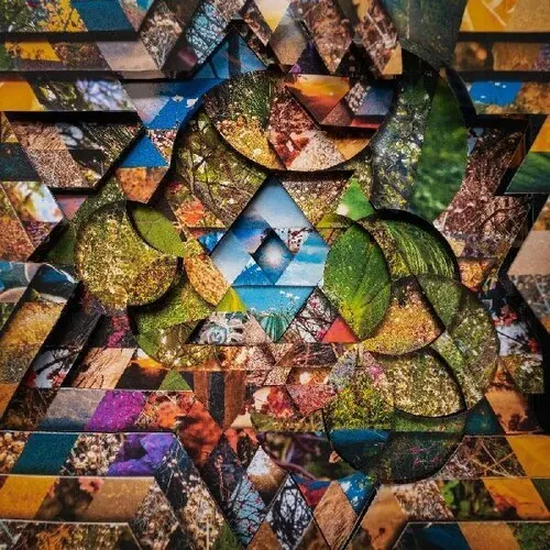 Виниловая пластинка Miguel Atwood-Fergus - Les Jardins Mystiques 1 [New Vinyl LP] Gatefold LP Jacke