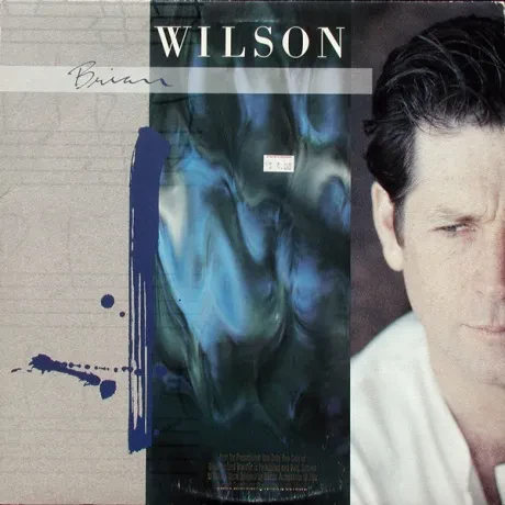 BRIAN WILSON - Brian Wilson (LP , Used)