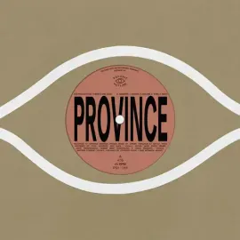 Виниловая пластинка Bartees Strange - Province / Ever New [New 7" Vinyl]