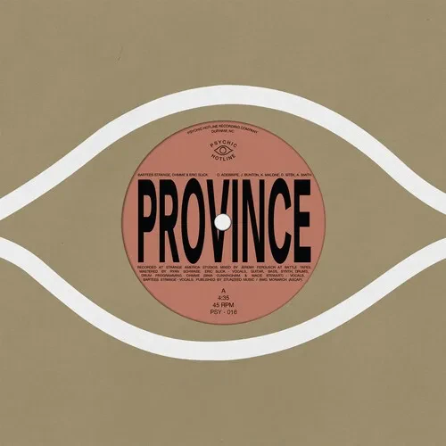 Виниловая пластинка Bartees Strange - Province / Ever New [New 7" Vinyl]