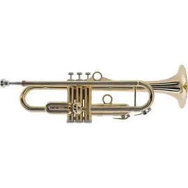Труба pTrumpet hyTech Bb Trumpet Gold
