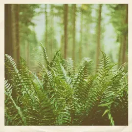 Виниловая пластинка mtbrd - Just Visiting [New 7" Vinyl]