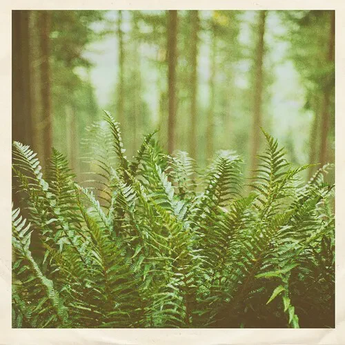 Виниловая пластинка mtbrd - Just Visiting [New 7" Vinyl]