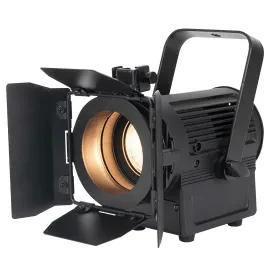 Светодиодный прибор American DJ Encore FR20 DTW