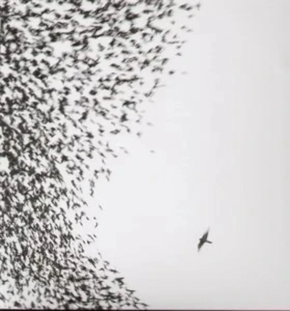 Виниловая пластинка Wilco – Sky Blue Sky Sealed