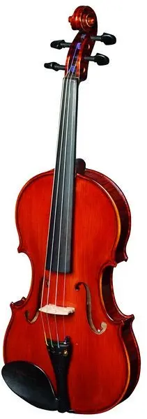 Скрипка Strunal 337W-4/4
