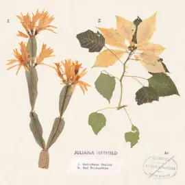 Виниловая пластинка Juliana Hatfield – Christmas Cactus / Red Poinsettia