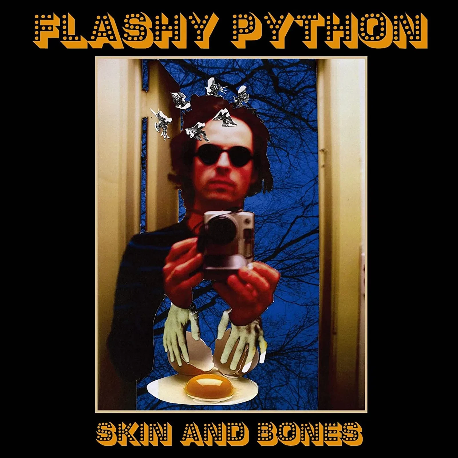 Виниловая пластинка Flashy Python – Skin and Bones Релиз 2025