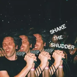 !!! Chk Chk Chk - Shake The Shudder [Transparent Vinyl] NEW Vinyl