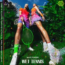 Виниловая пластинка Sofi Tukker - Wet Tennis [New Vinyl LP]
