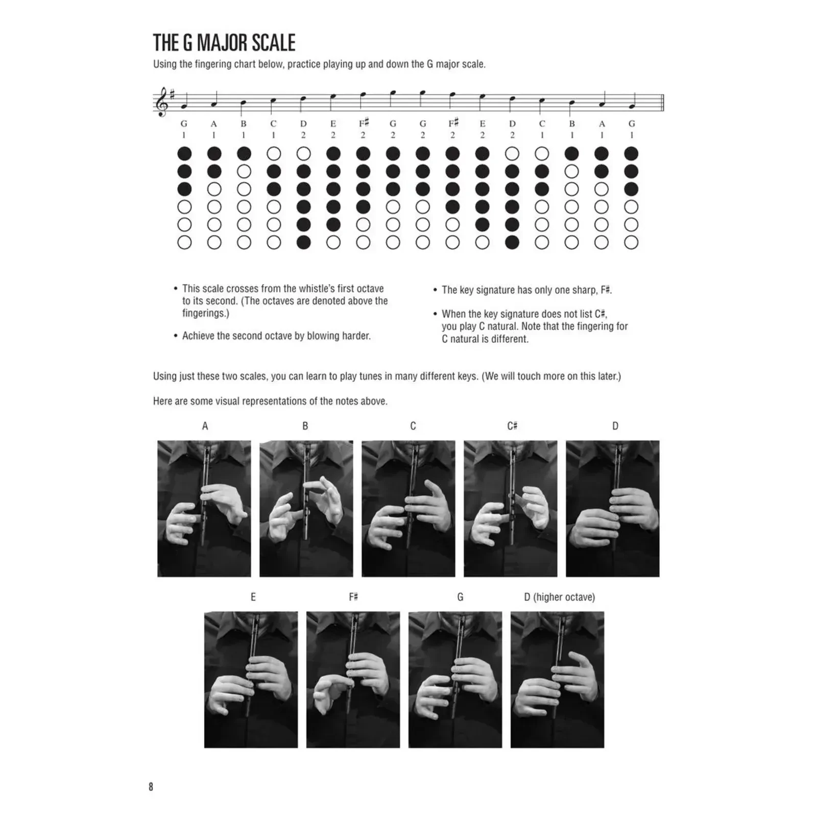 Изображение №5