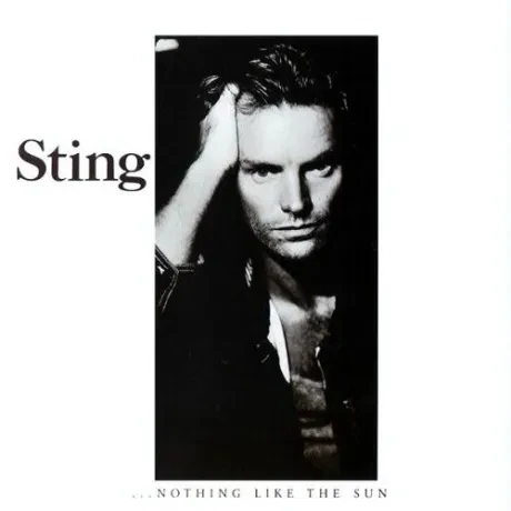 Виниловая пластинка Sting – Nothing Like The Sun (2LP)