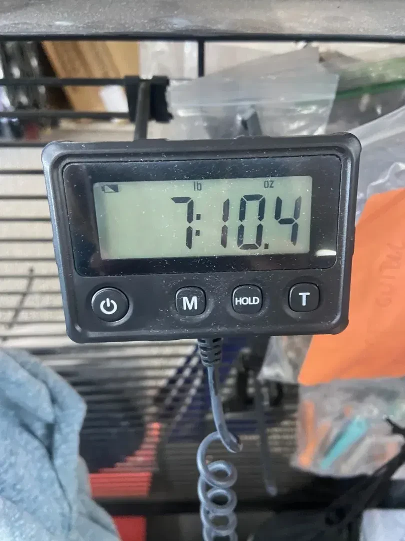 Изображение №2