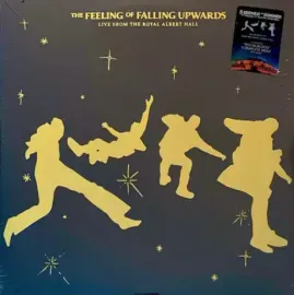 Виниловая пластинка 5 Seconds of Summer – The Feeling Of Falling Upwards