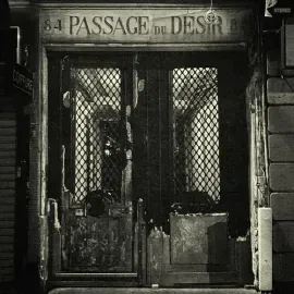 Виниловая пластинка Johnny Blue Skies - Passage Du Desir [New Vinyl LP]