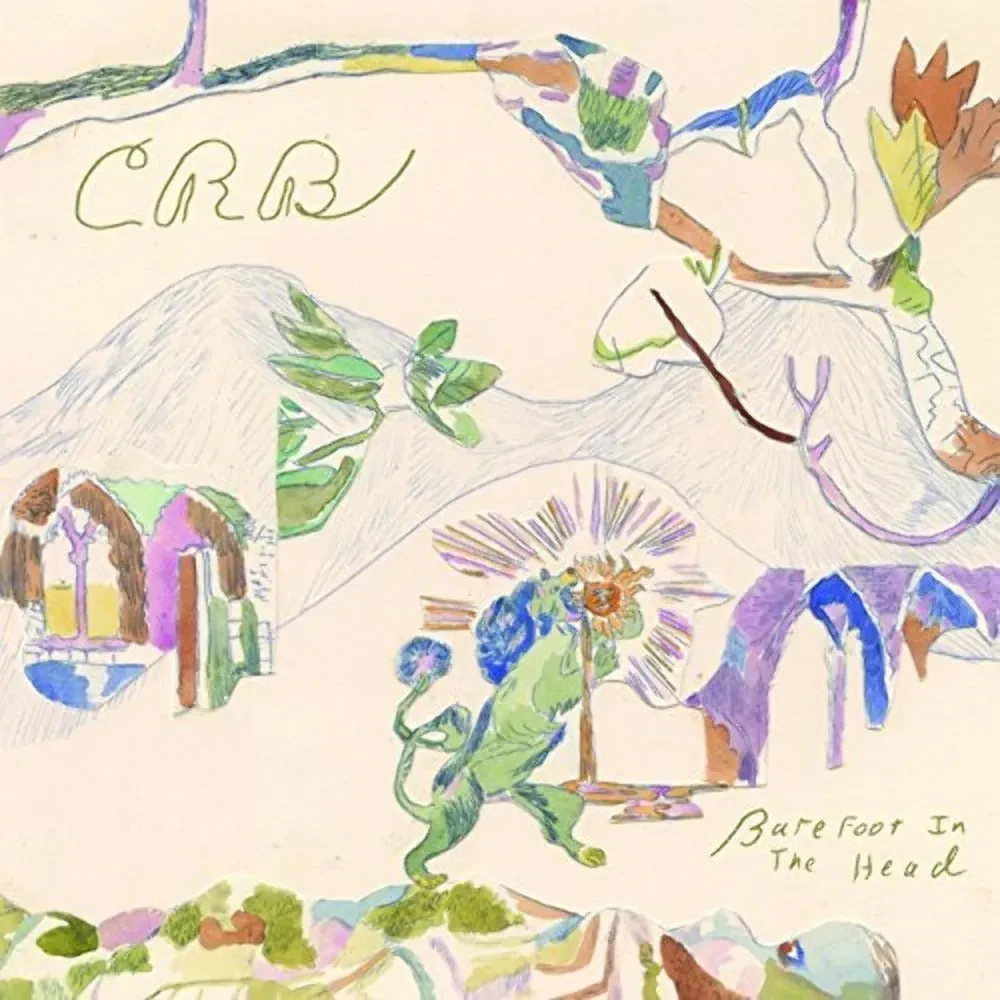 Виниловая пластинка Chris Robinson Brotherhood – Barefoot In The Head Sealed