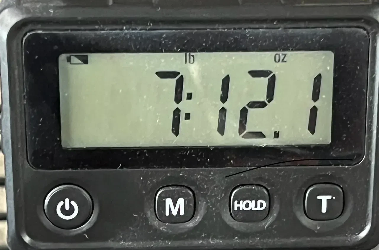 Изображение №9