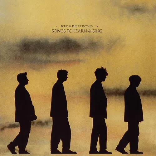 Виниловая пластинка Echo & Bunnymen – Songs To Learn & Sing 2021