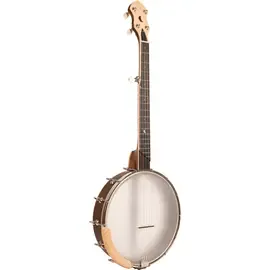 Банджо Gold Tone HM-100 A-Scale High Moon 5-String Open Back Banjo w/ Case