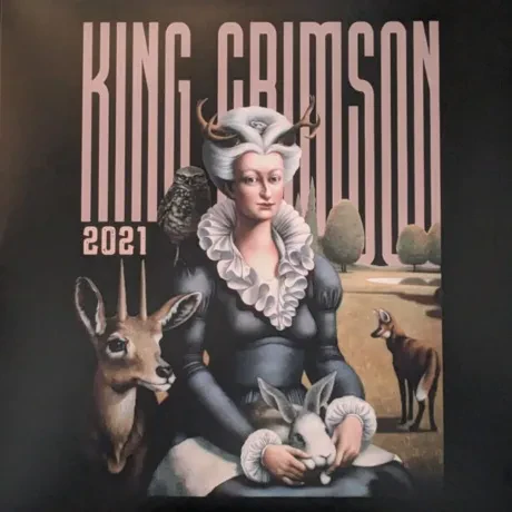 Виниловая пластинка King Crimson – Music Is Our Friend