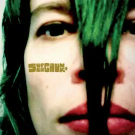 Виниловая пластинка Superchunk - Misfits and Mistakes: Singles, B-Sides & Strays 2007 - 2023 [New Vi