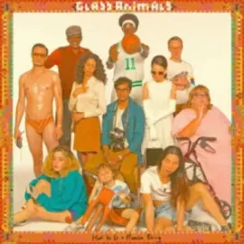 Виниловая пластинка Glass Animals – How To Be A Human Being Sealed