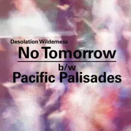 Виниловая пластинка Desolation Wildernes – No Tomorrow/Pacific Palisades 7" (Релиз 2009)