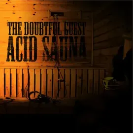 Виниловая пластинка Doubtful Guest - Acid Sauna [New Vinyl LP]