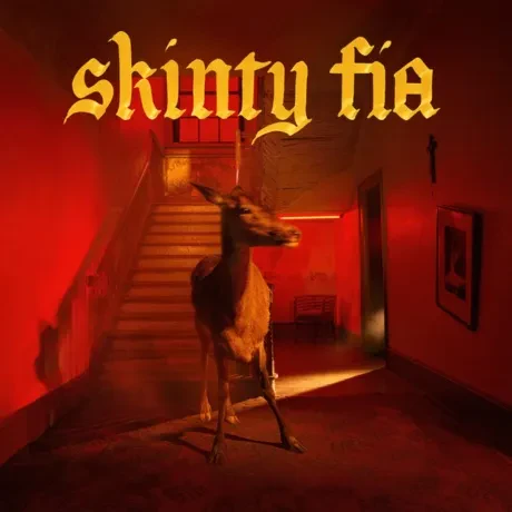 Виниловая пластинка Fontaines D.C. – Skinty Fia