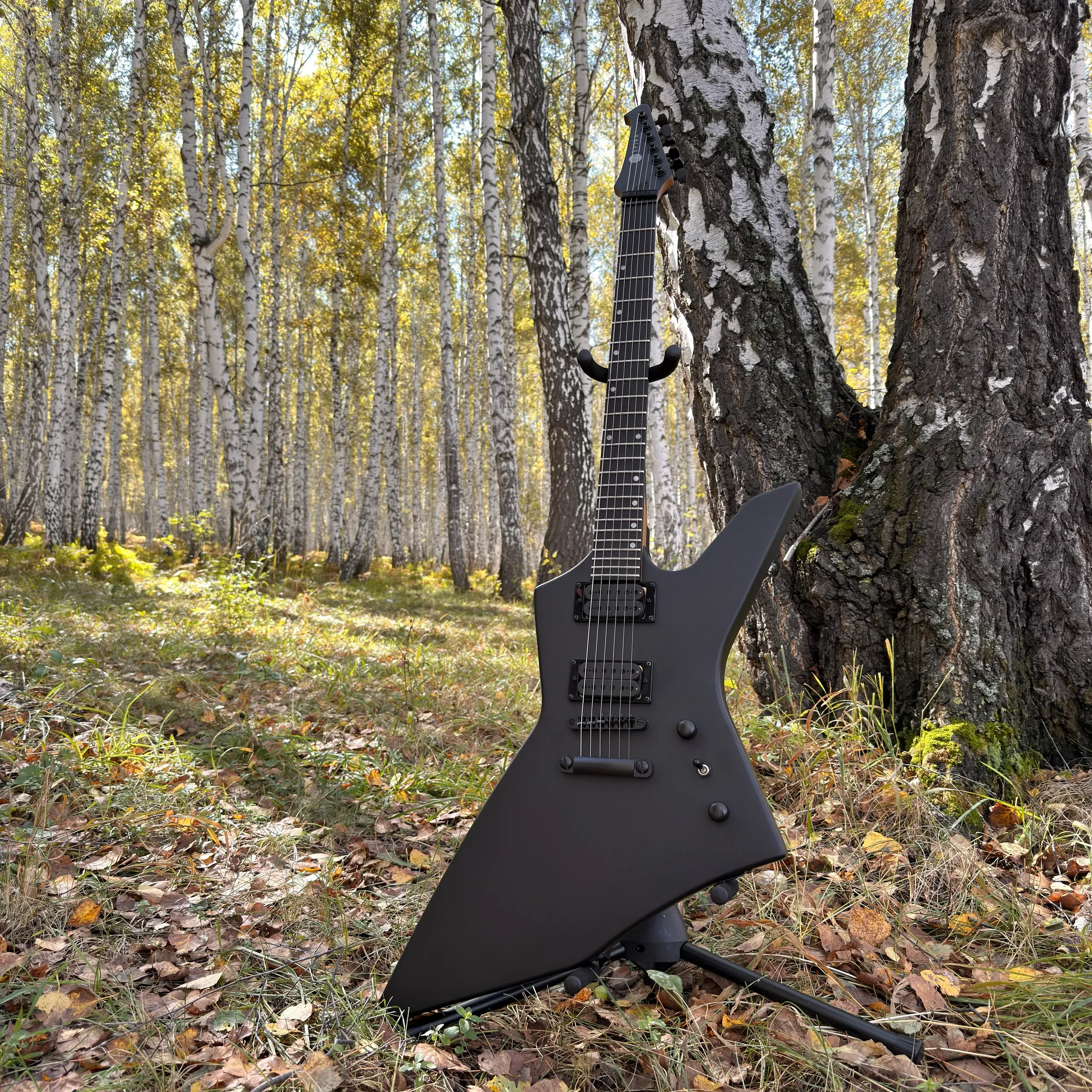 Изображение №2