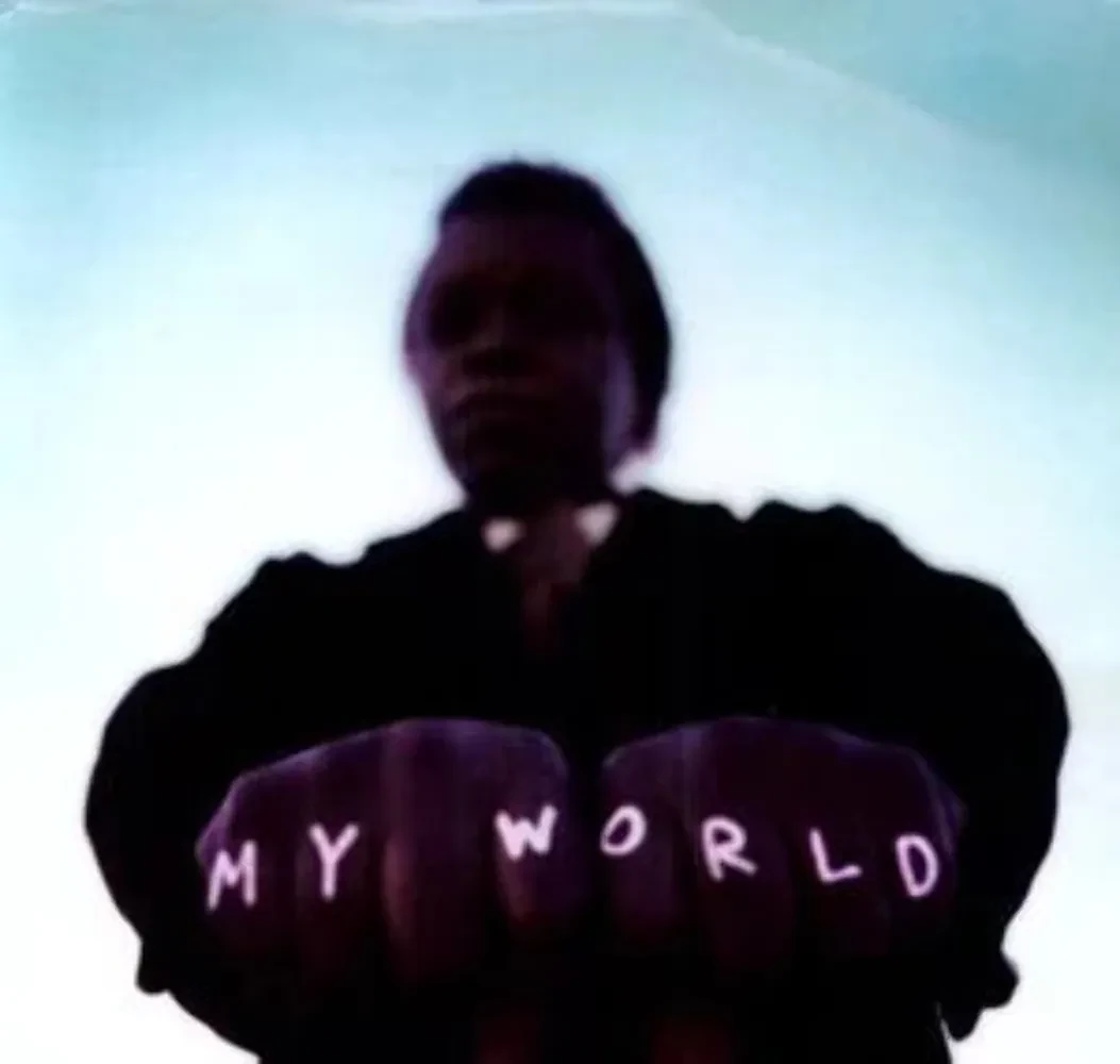 Виниловая пластинка Lee Fields – My World Релиз 2009 Sealed