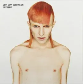 Виниловая пластинка Jay-Jay Johanson – Antenna (2LP, белый винил, 180 г) (Релиз 2025)