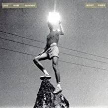 MOUNT KIMBIE - Love What Survives (CD)