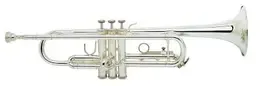 Труба BACH TR-300H2S