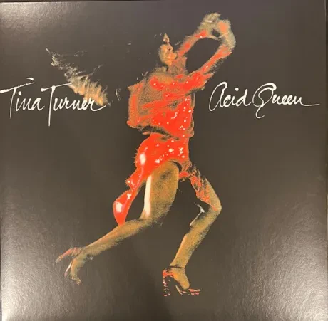 Виниловая пластинка Tina Turner – Acid Queen