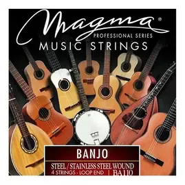 Струны для 4-струнного банджо Magma Strings BA110 Banjo