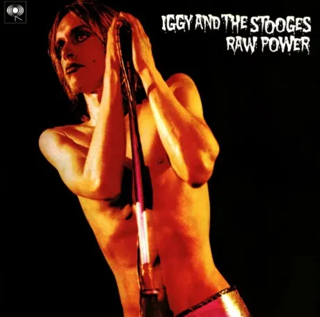 Виниловая пластинка IGGY POP / THE STOOGES – Raw Power
