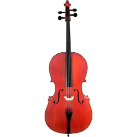 Виолончель Scherl and Roth SR44 Arietta Hybrid Series Student Cello Outfit 3/4