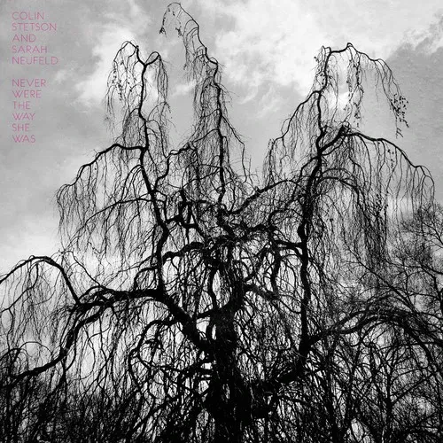 Виниловая пластинка Colin Stetson - Never Were the Way She Was [New Vinyl LP] 180 Gram, Digital Down