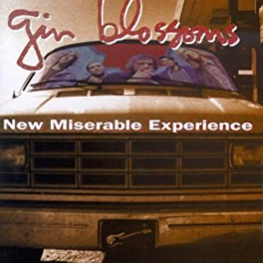 Виниловая пластинка Gin Blossoms - New Miserable Experience NEW Vinyl