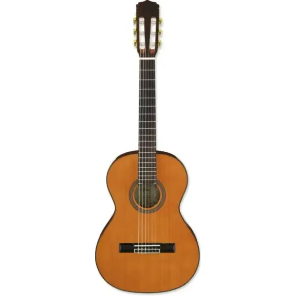 Классическая гитара Aria A-20-58