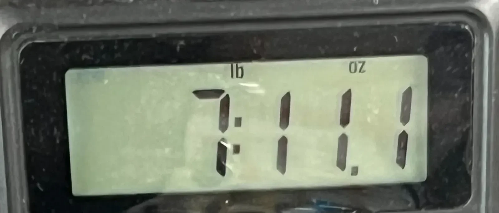 Изображение №9